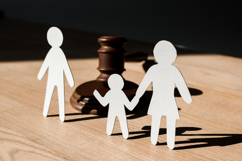 Role of Fathers' Rights Attorneys